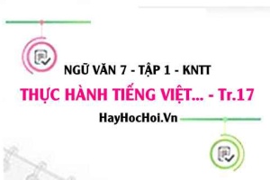 Soạn bài Thực hành tiếng Việt trang 17 Ngữ văn lớp 7 Kết nối tri thức tập 1